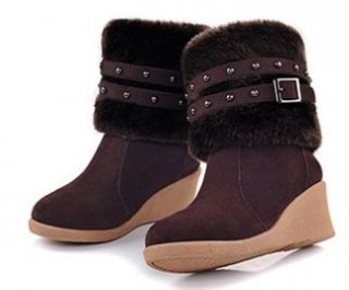 ���������� ���.313-1